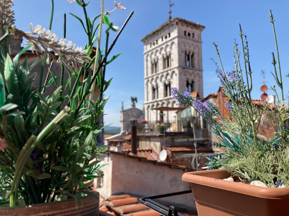 شقة Terrazza San Michele - Affitti Brevi Italia لوكا المظهر الخارجي الصورة
